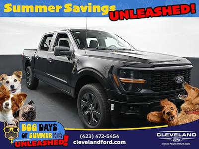 2025 Ford F-150 SuperCrew Cab 4x4 Pickup for sale #SKE17660 - photo 1