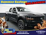 2025 Ford F-150 SuperCrew Cab 4x4 Pickup for sale #SKE17660 - photo 1