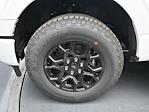 2025 Ford F-150 SuperCrew Cab 4x4 Pickup for sale #SKE17746 - photo 10