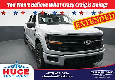 2025 Ford F-150 SuperCrew Cab 4x4 Pickup for sale #SKE21997 - photo 1