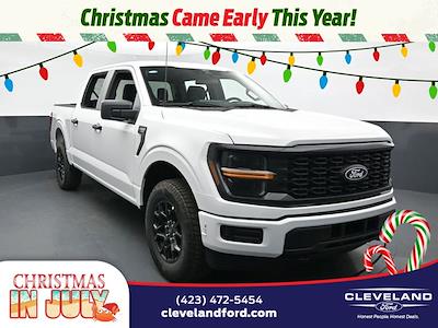 2025 Ford F-150 SuperCrew Cab 4x4 Pickup for sale #SKE22201 - photo 1