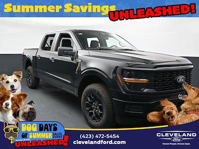 2025 Ford F-150 SuperCrew Cab 4x4 Pickup for sale #SKE22300 - photo 1
