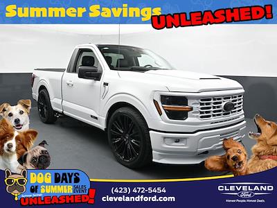 2025 Ford F-150 Regular Cab 4x4 Pickup for sale #SKE22867 - photo 1