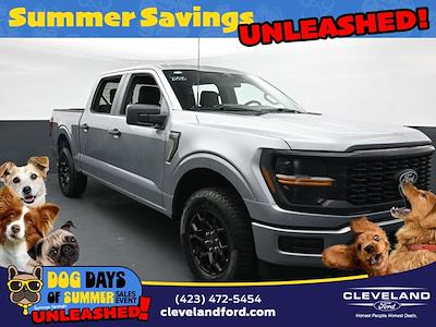 2025 Ford F-150 SuperCrew Cab 4x4 Pickup for sale #SKE24290 - photo 1
