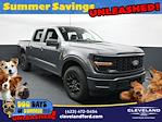 2025 Ford F-150 SuperCrew Cab 4x4 Pickup for sale #SKE24365 - photo 1