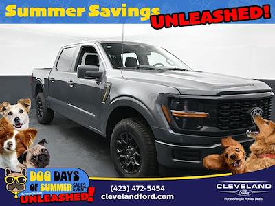 2025 Ford F-150 SuperCrew Cab 4x4 Pickup for sale #SKE24515 - photo 1