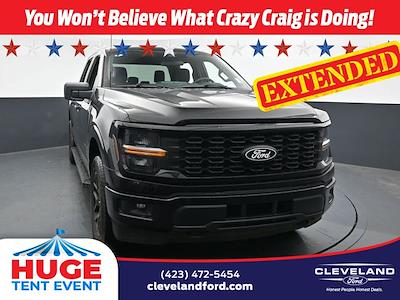 2025 Ford F-150 SuperCrew Cab 4x4 Pickup for sale #SKE42716 - photo 1