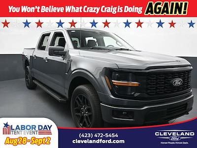2025 Ford F-150 SuperCrew Cab 4x4 Pickup for sale #SKE49880 - photo 1