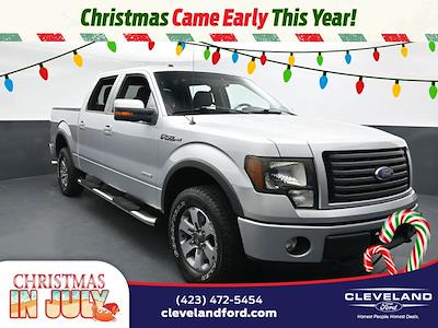 2011 Ford F-150 SuperCrew Cab 4x4 Pickup for sale #TBKD75545 - photo 1