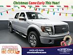 2011 Ford F-150 SuperCrew Cab 4x4 Pickup for sale #TBKD75545 - photo 1