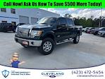 2012 Ford F-150 SuperCrew Cab 4x4 Pickup for sale #TCFC87866 - photo 1