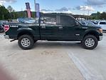 2012 Ford F-150 SuperCrew Cab 4x4 Pickup for sale #TCFC87866 - photo 10