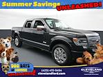 2013 Ford F-150 SuperCrew Cab 4x2 Pickup for sale #TDFD22428 - photo 1
