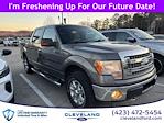 2013 Ford F-150 SuperCrew Cab 4x4, Pickup for sale #TDKD45038 - photo 1