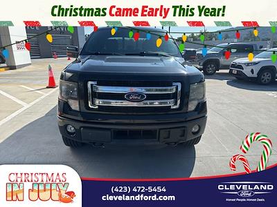 2014 Ford F-150 SuperCrew Cab 4x4 Pickup for sale #TEFB49292 - photo 1