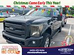 2015 Ford F-250 Crew Cab 4x4 Pickup for sale #TFEA30756 - photo 1
