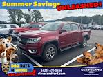 2019 Chevrolet Colorado Crew Cab 4x4 Pickup for sale #TK1124681 - photo 1