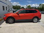 Used 2019 Volkswagen Tiguan SUV for sale #TKM113875 - photo 4