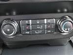 2020 Ford F-150 SuperCrew Cab 4x2 Pickup for sale #TLFC15997 - photo 23
