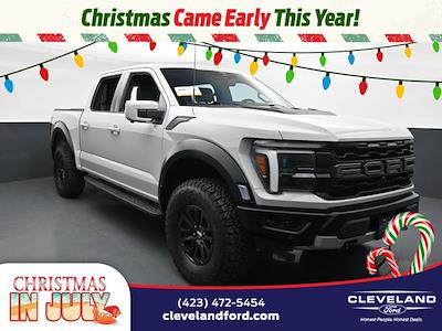 2024 Ford F-150 SuperCrew Cab 4x4 Pickup for sale #TRFB70244 - photo 1