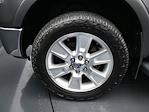 2013 Ford F-150 SuperCrew Cab 4x4 Pickup for sale #XDFA27572 - photo 10