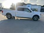 2020 Ford F-150 SuperCrew Cab 4x4 Pickup for sale #XLFA01605 - photo 14