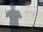 2020 Ford F-150 SuperCrew Cab 4x4 Pickup for sale #XLFA01605 - photo 23