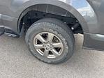 2020 Ford F-150 SuperCrew Cab 4x4 Pickup for sale #XLFA56323 - photo 20