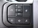 2024 Ford F-250 Crew Cab 4x4 Pickup for sale #XREC98002 - photo 13