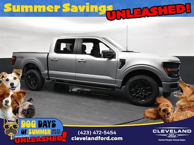 2024 Ford F-150 SuperCrew Cab 4x4 Pickup for sale #XRKD58972 - photo 1