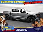 2024 Ford F-150 SuperCrew Cab 4x4 Pickup for sale #XRKD58972 - photo 1