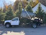 Used 2023 Ford F-450 Regular Cab Dump Truck for sale #2609 - photo 10