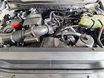 2025 Ford F-350 Regular Cab SRW 4x4 Pickup for sale #C25CF197 - photo 29