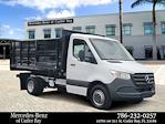 2023 Mercedes-Benz Sprinter 4500 Standard Cab Standard Roof DRW RWD, Landscape Dump for sale #PN271067 - photo 1