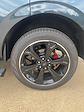 New 2024 Ford Expedition Limited SUV for sale #B06269 - photo 29
