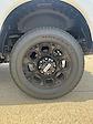 New 2025 Ford F-250 Crew Cab 4x4 Pickup for sale #C52314 - photo 7