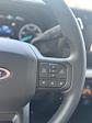 New 2025 Ford F-250 Crew Cab 4x4 Pickup for sale #C66126 - photo 13
