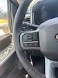 New 2025 Ford F-250 Crew Cab 4x4 Pickup for sale #D33535 - photo 39
