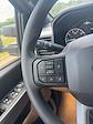 New 2024 Ford F-350 Crew Cab 4x4 SRW Pickup for sale #D36537 - photo 35