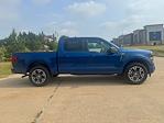 2025 Ford F-150 SuperCrew Cab 4x2 Pickup for sale #E01452 - photo 29