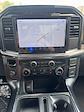 2024 Ford F-150 SuperCrew Cab 4x2 Pickup for sale #F31828 - photo 14