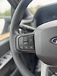 2024 Ford F-150 SuperCrew Cab 4x2 Pickup for sale #F31828 - photo 38