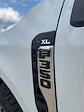 2024 Ford F-350 Regular Cab SRW 4x4 Pickup for sale #F35668 - photo 6