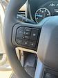 2024 Ford F-350 Crew Cab DRW 4x4 Cab Chassis for sale #F58822 - photo 12