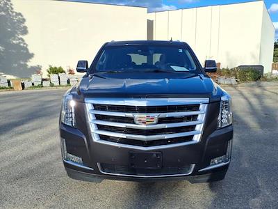 Used 2016 Cadillac Escalade - photo 1
