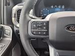 2025 Ford F-150 SuperCrew Cab 4WD Pickup for sale #MS55420A - photo 17