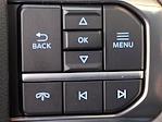 2025 Ford F-250 Crew Cab 4WD Pickup for sale #SED90373 - photo 10