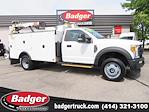 2017 Ford F-550 Regular Cab DRW 4x4, Service Truck for sale #42576 - photo 1