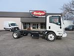 2023 Isuzu NQR Regular Cab 4x2, Cab Chassis for sale #6710 - photo 4