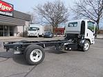 2023 Isuzu NQR Regular Cab 4x2, Cab Chassis for sale #6710 - photo 2